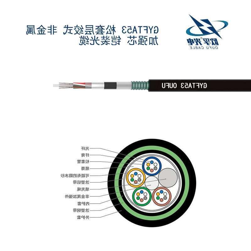 临沂市GYFTA53光缆