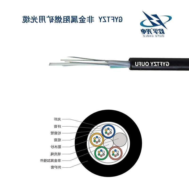 西双版纳傣族自治州GYFTZY光缆